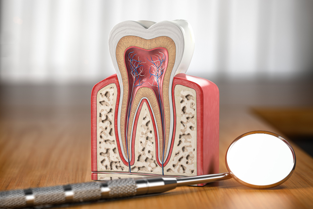Root Canal Treatment in Cameron, MO